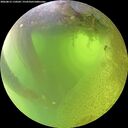 ./images/calvert/underwater/20260812/underwater20260812_110501M.jpg