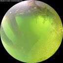 ./images/calvert/underwater/20260812/underwater20260812_112001M.jpg