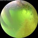 ./images/calvert/underwater/20260812/underwater20260812_112501M.jpg