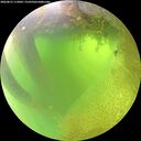 ./images/calvert/underwater/20260812/underwater20260812_113001M.jpg