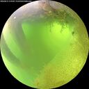 ./images/calvert/underwater/20260812/underwater20260812_113501M.jpg
