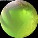 ./images/calvert/underwater/20260812/underwater20260812_114501M.jpg