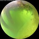 ./images/calvert/underwater/20260812/underwater20260812_115001M.jpg