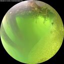 ./images/calvert/underwater/20260812/underwater20260812_115501M.jpg