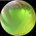 ./images/calvert/underwater/20260812/underwater20260812_120002M.jpg
