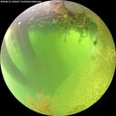 ./images/calvert/underwater/20260812/underwater20260812_120501M.jpg