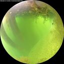 ./images/calvert/underwater/20260812/underwater20260812_121001M.jpg