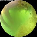./images/calvert/underwater/20260812/underwater20260812_121501M.jpg