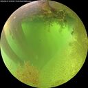./images/calvert/underwater/20260812/underwater20260812_122501M.jpg