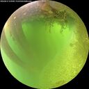 ./images/calvert/underwater/20260812/underwater20260812_123001M.jpg