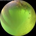 ./images/calvert/underwater/20260812/underwater20260812_123502M.jpg
