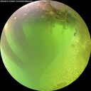 ./images/calvert/underwater/20260812/underwater20260812_124002M.jpg
