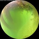 ./images/calvert/underwater/20260812/underwater20260812_124501M.jpg