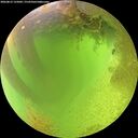 ./images/calvert/underwater/20260812/underwater20260812_125002M.jpg