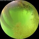 ./images/calvert/underwater/20260812/underwater20260812_130001M.jpg