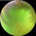 ./images/calvert/underwater/20260812/underwater20260812_130501M.jpg