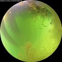 ./images/calvert/underwater/20260812/underwater20260812_131001M.jpg