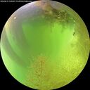 ./images/calvert/underwater/20260812/underwater20260812_132002M.jpg