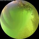 ./images/calvert/underwater/20260812/underwater20260812_133001M.jpg