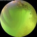 ./images/calvert/underwater/20260812/underwater20260812_133501M.jpg