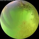 ./images/calvert/underwater/20260812/underwater20260812_134001M.jpg