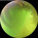 ./images/calvert/underwater/20260812/underwater20260812_135501M.jpg