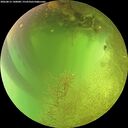 ./images/calvert/underwater/20260812/underwater20260812_140001M.jpg