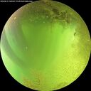 ./images/calvert/underwater/20260812/underwater20260812_140501M.jpg