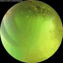 ./images/calvert/underwater/20260812/underwater20260812_141001M.jpg