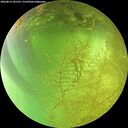 ./images/calvert/underwater/20260812/underwater20260812_141501M.jpg