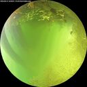 ./images/calvert/underwater/20260812/underwater20260812_142001M.jpg