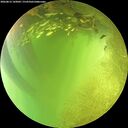 ./images/calvert/underwater/20260812/underwater20260812_143001M.jpg