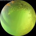 ./images/calvert/underwater/20260812/underwater20260812_145501M.jpg