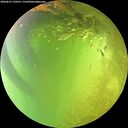 ./images/calvert/underwater/20260812/underwater20260812_150501M.jpg