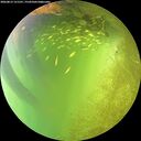 ./images/calvert/underwater/20260812/underwater20260812_151501M.jpg