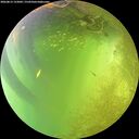 ./images/calvert/underwater/20260812/underwater20260812_152001M.jpg