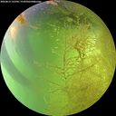 ./images/calvert/underwater/20260812/underwater20260812_152501M.jpg