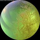 ./images/calvert/underwater/20260812/underwater20260812_153001M.jpg