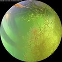 ./images/calvert/underwater/20260812/underwater20260812_154001M.jpg