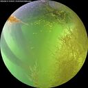 ./images/calvert/underwater/20260812/underwater20260812_154501M.jpg