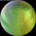 ./images/calvert/underwater/20260812/underwater20260812_155001M.jpg