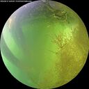 ./images/calvert/underwater/20260812/underwater20260812_160502M.jpg