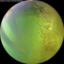 ./images/calvert/underwater/20260812/underwater20260812_161001M.jpg