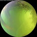 ./images/calvert/underwater/20260812/underwater20260812_164002M.jpg