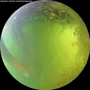 ./images/calvert/underwater/20260812/underwater20260812_164501M.jpg