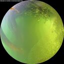 ./images/calvert/underwater/20260812/underwater20260812_165001M.jpg