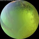 ./images/calvert/underwater/20260812/underwater20260812_171501M.jpg