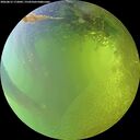./images/calvert/underwater/20260812/underwater20260812_172001M.jpg