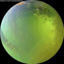 ./images/calvert/underwater/20260812/underwater20260812_172501M.jpg