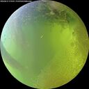 ./images/calvert/underwater/20260812/underwater20260812_173501M.jpg